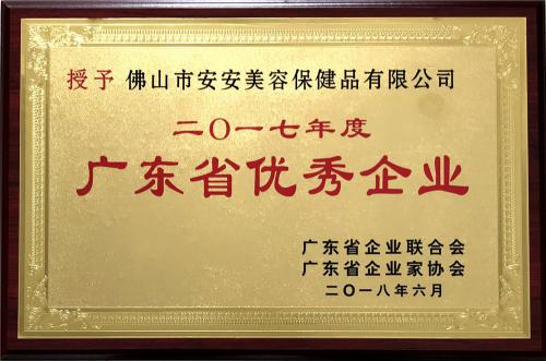 2017 Excellent Enterprises in Guangdong Province